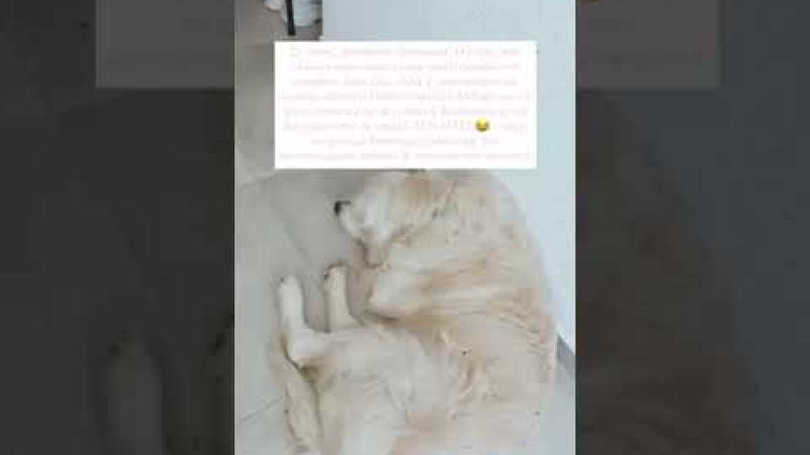 Ιωάννα Τούνη: Μετακόμισε ξανά και μας δείχνει το εντυπωσιακό της σπίτι