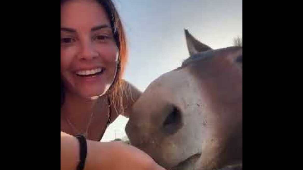 Ξετρελαμένη η Μαρία Κορινθίου με γάιδαρο της Πάρου - «Τη λένε Ζιζέλ»