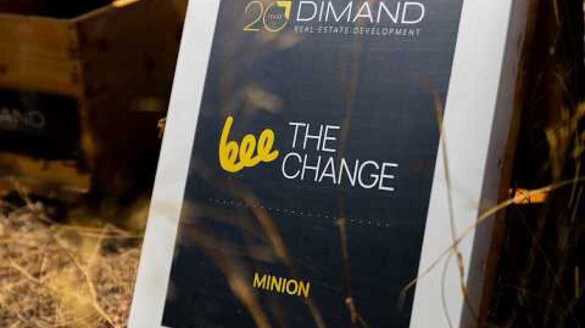 Η DIMAND φέρνει τις μέλισσες στην καρδιά της πόλης