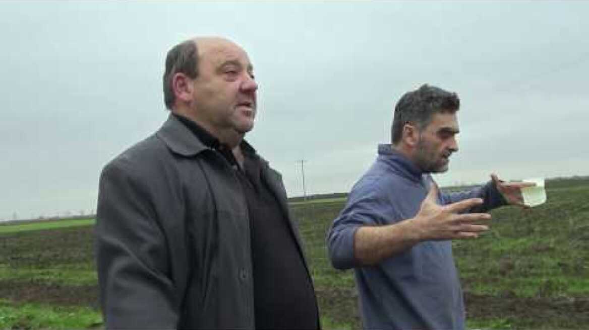 Όταν ο Βάγκνερ συνάντησε τις ντομάτες [Trailer]