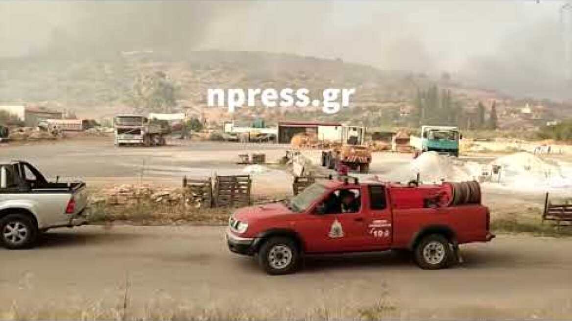 Φωτιά στην Φωκίδα, κοντά στην Ιτέα