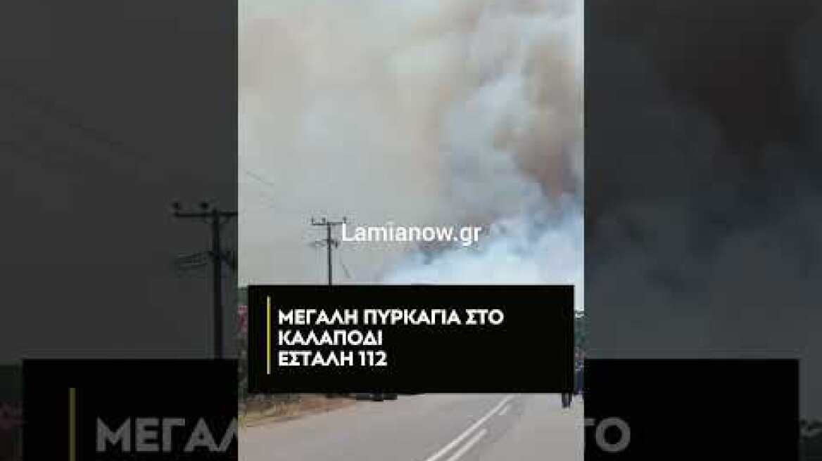 Μεγάλη πυρκαγιά στο Καλαπόδι