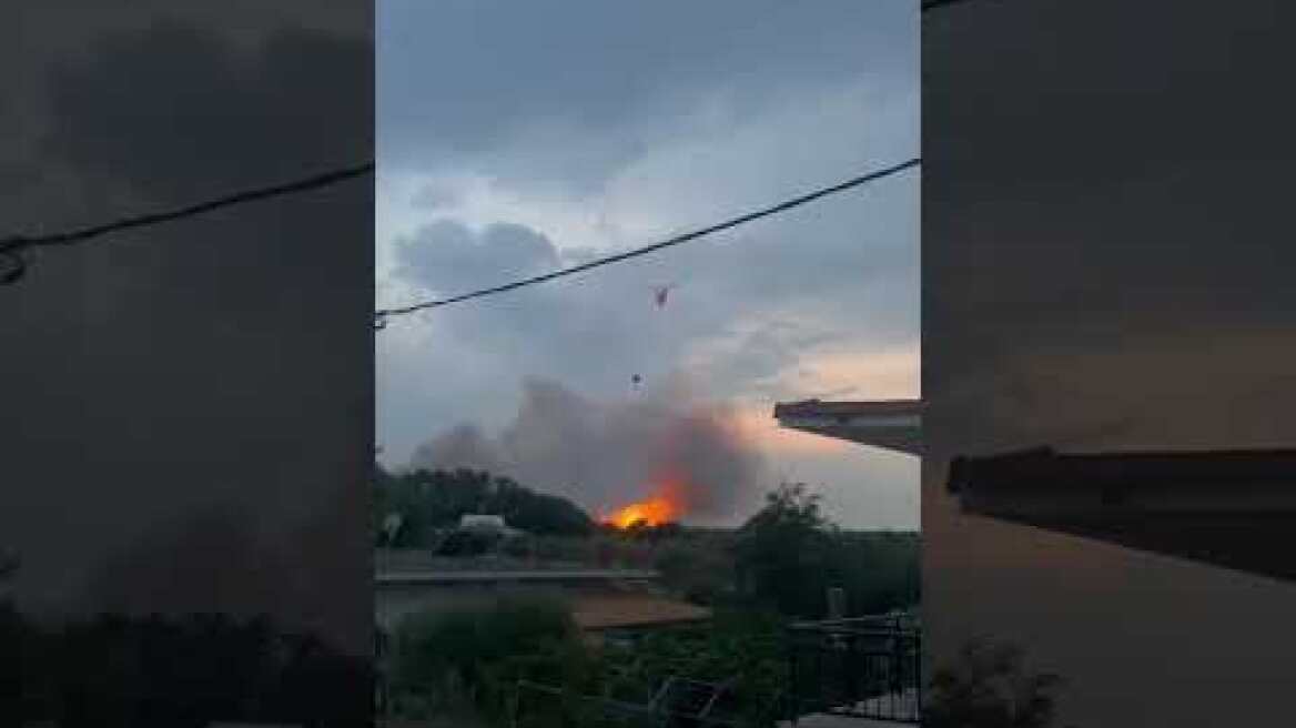 Φωτιά Θάσος