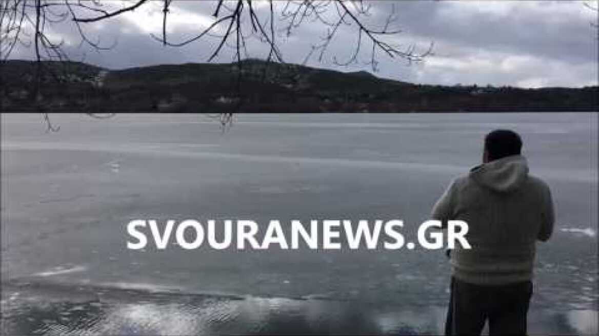 svouranews.gr Αρκούδα περπατάει πάνω στην λίμνη της Καστοριάς