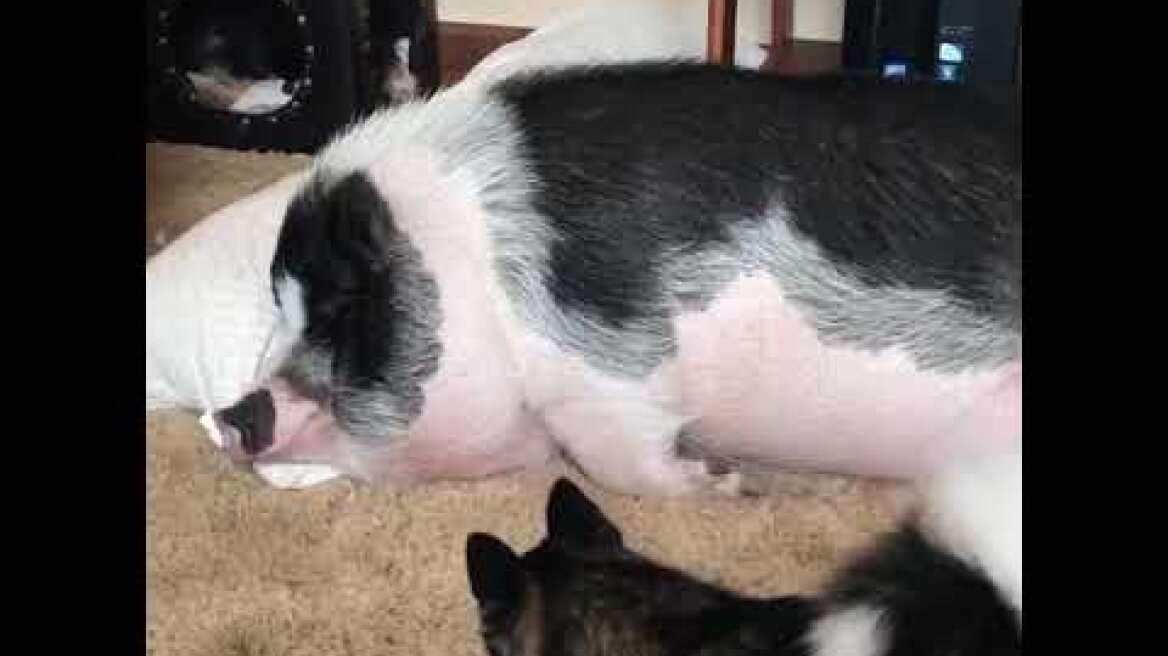  Ξύπνα λέμεεεε.....