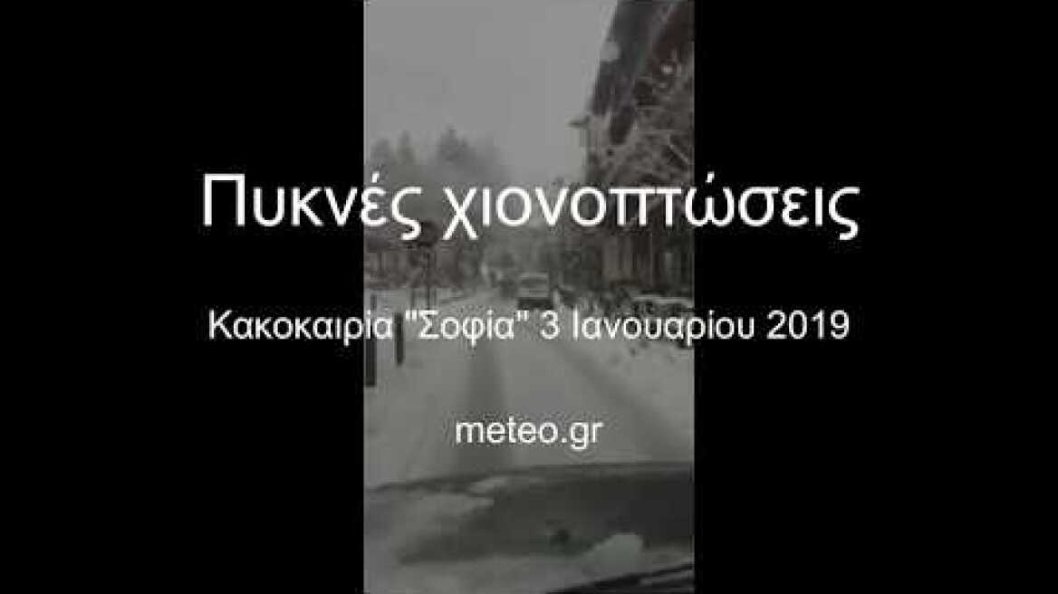 Πυκνές χιονοπτώσεις 03/01/2019 - Κακοκαιρία "Σοφία"