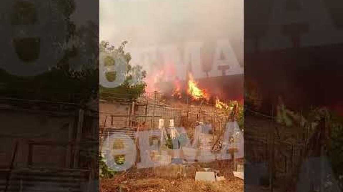 Φωτιά στο Πανόραμα του δήμου Λουτρακίου κοντά στην MotrorOil (2)