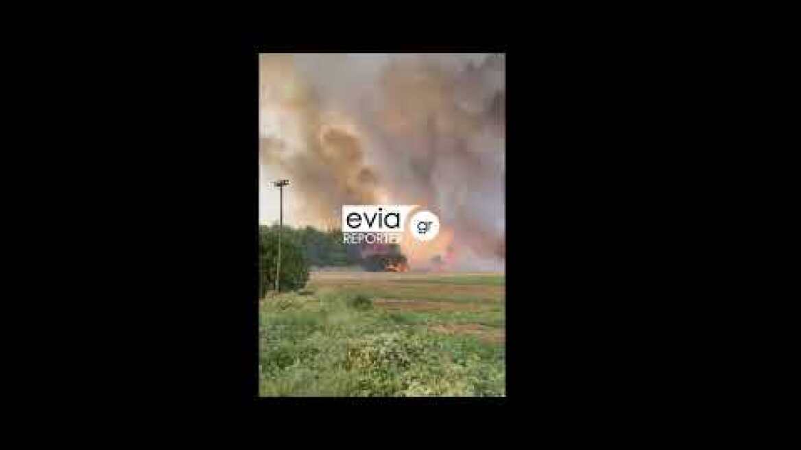 Μεγάλη φωτιά στην Μακρυκάπα Ευβοίας