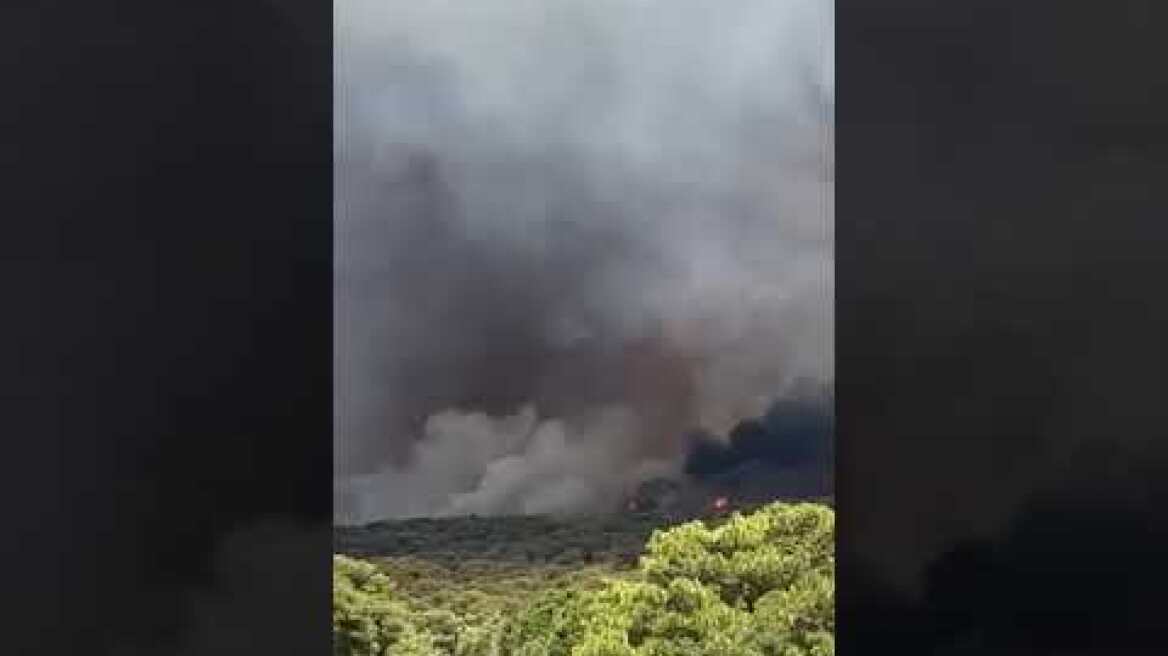 Φωτιά σε δασική έκταση στο Λουτράκι 3