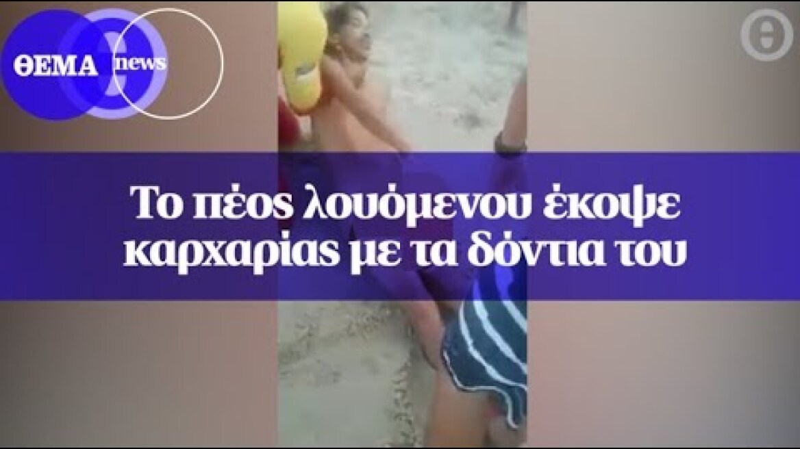 Το πέος λουόμενου έκοψε καρχαρίας με τα δόντια του