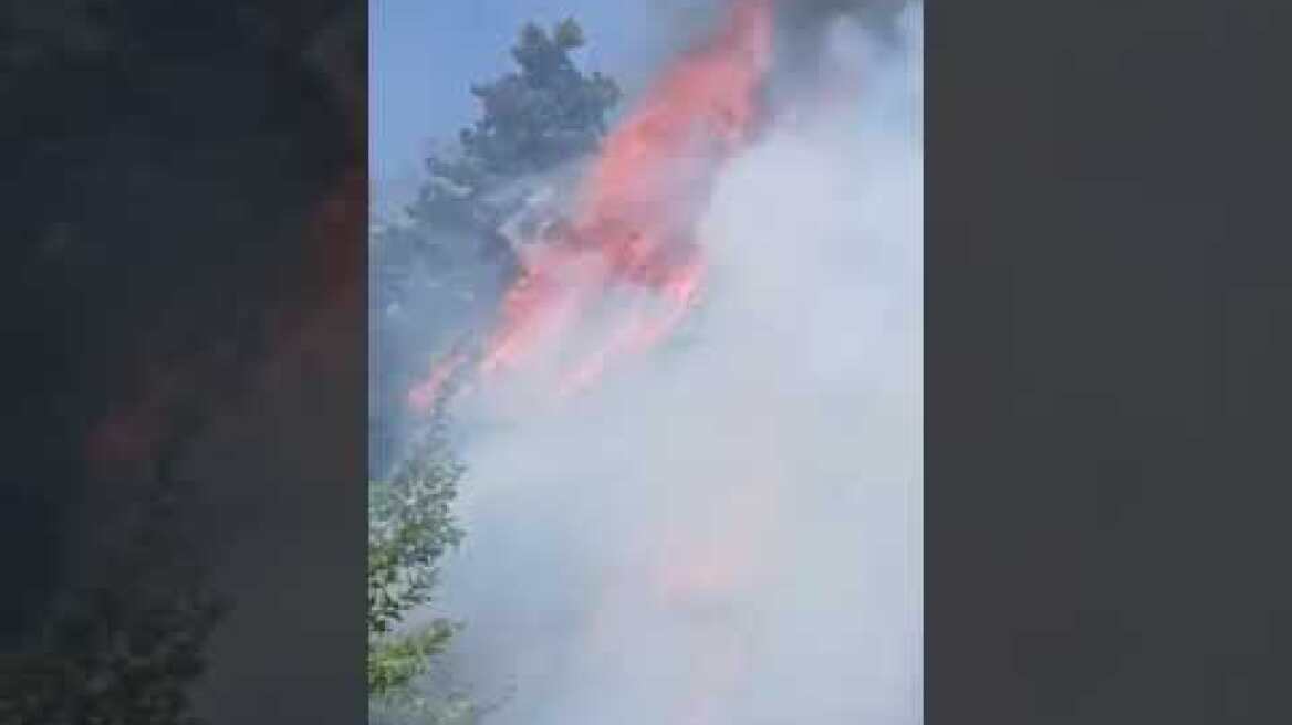 Φωτιά στον Δρυμώνα Θέρμου