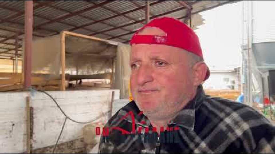 Πιερία κακοκαιρία  - Πνίγηκαν ζώα σε στάβλο