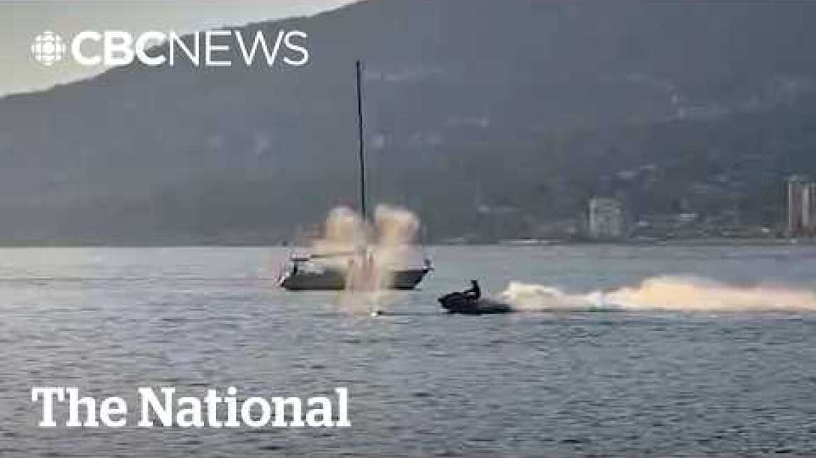 Jet ski rider hits grey whale at high speed in Vancouver