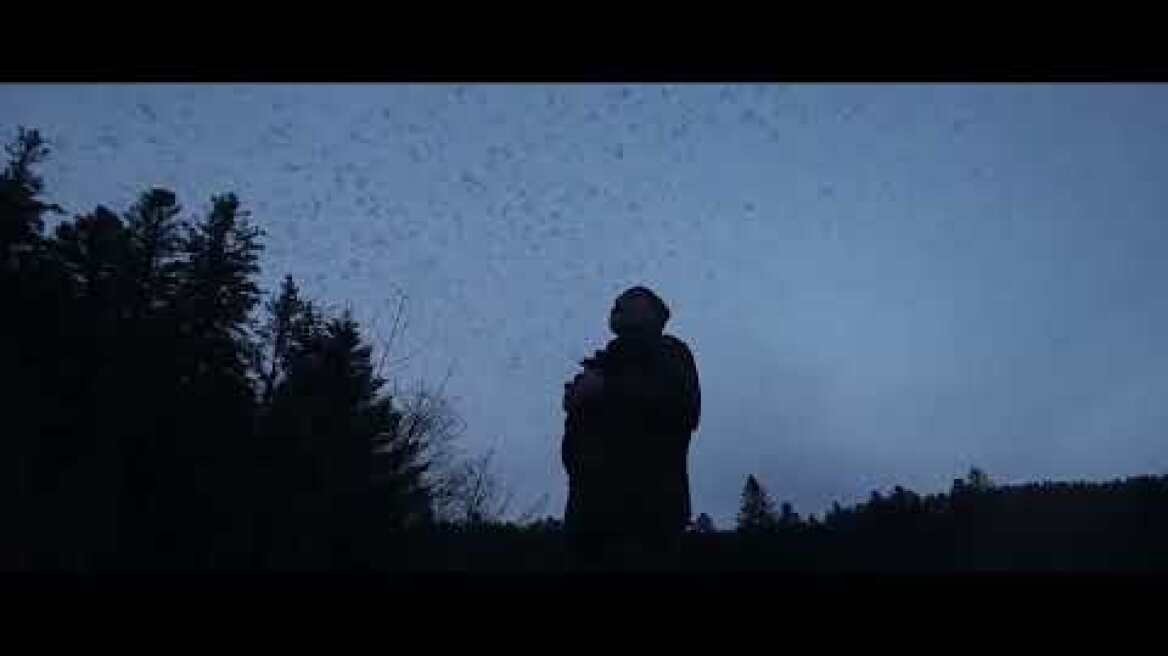 Το τραγούδι του δάσους / Whispers in the Woods / Le chant des forêts