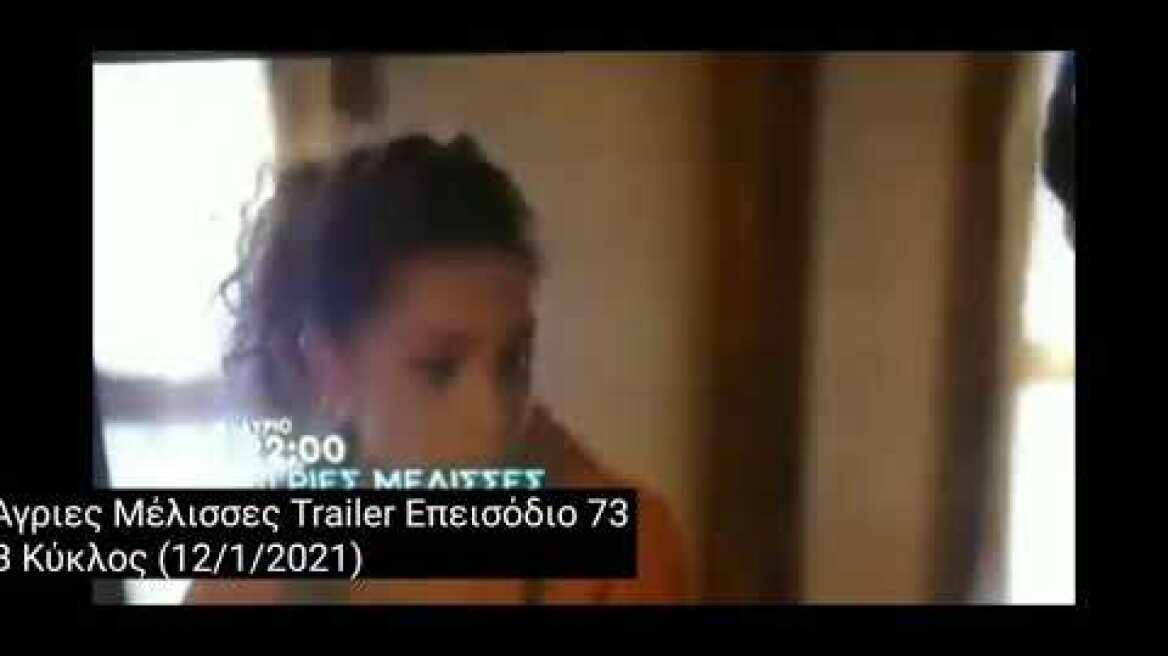 Άγριες Μέλισσες Trailer Επεισόδιο 73 Β Κύκλος (12/1/2021)