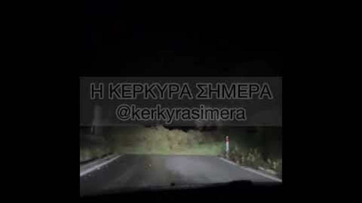 Πτώση δέντρου από την κακοκαιρία στην Κέρκυρα