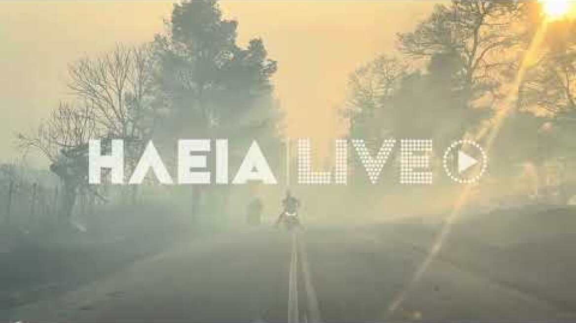 ilialive.gr - Το πέρασμα της φωτιάς και ζημιές στο Χελιδόνι