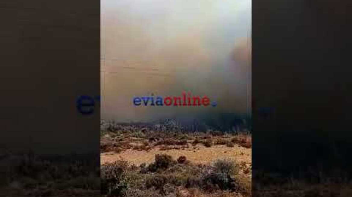 Φωτιά Κάρυστος - Αμυγδαλιά