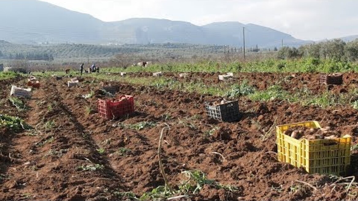 Η κυβέρνηση κάνει πράξη μια σειρά από μέτρα για την ενίσχυση των αγροτών και της αγροτικής ανάπτυξης