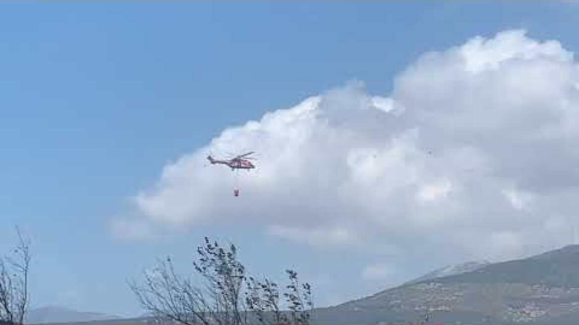 Εύβοια πυρκαγιά οικισμός Κοκκίνη