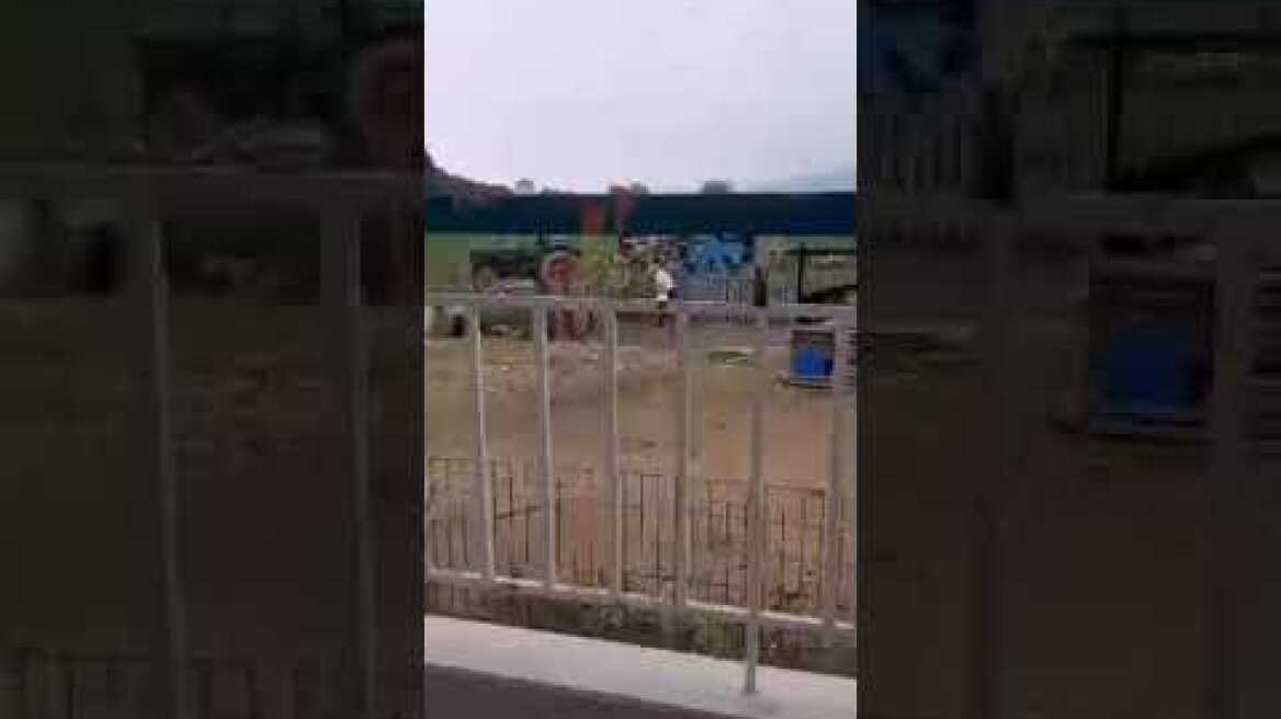 Σκληρό βίντεο - Άνδρας χτυπάει με μανία σκυλί στον Λαγκαδα