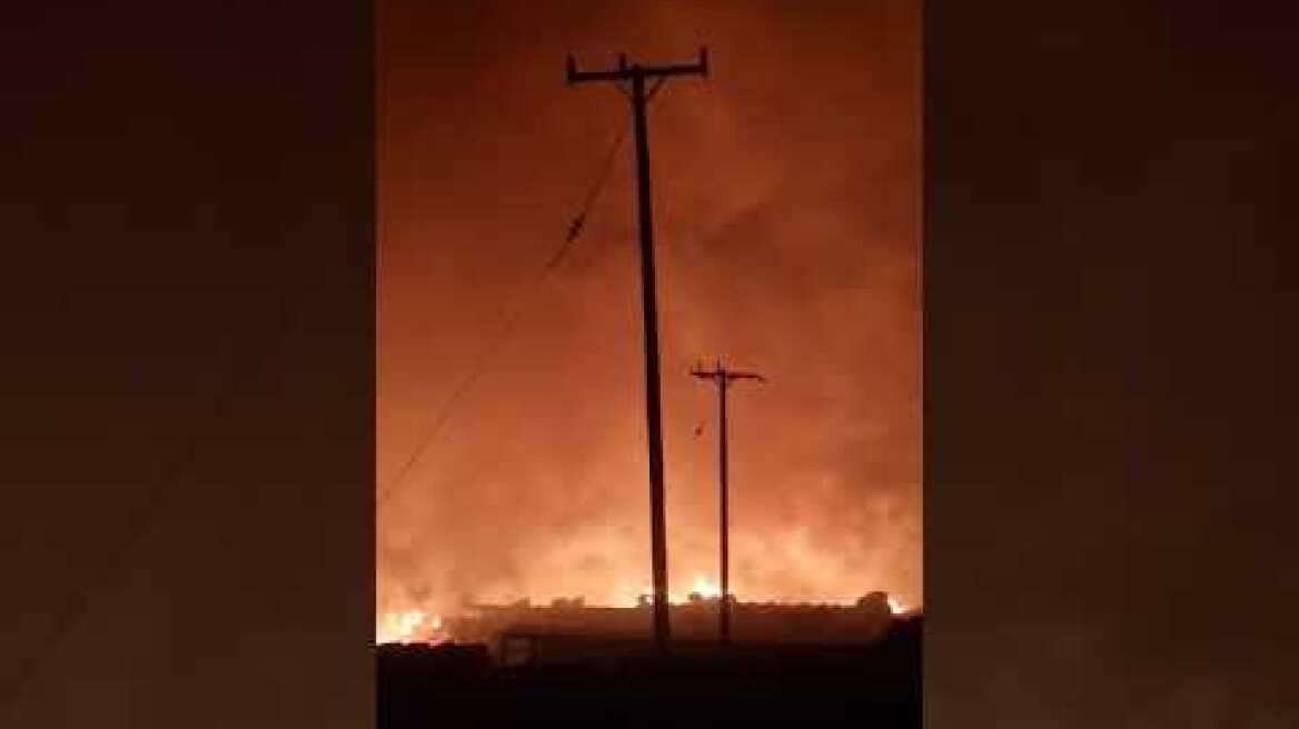 Φωτιά στο Κοσσίνι 08/08/2023