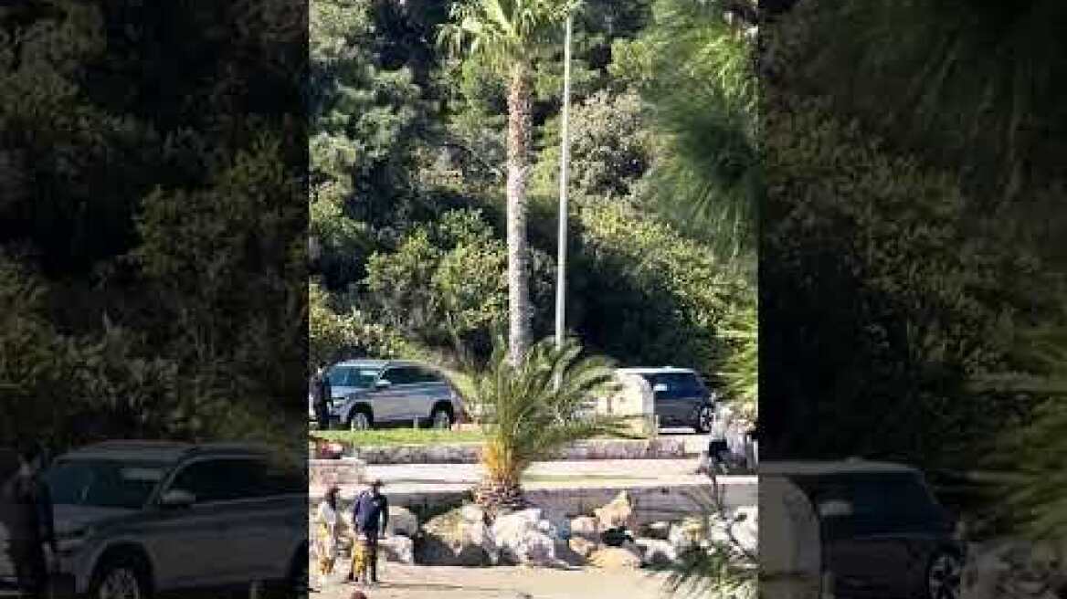 Αυτοκινητοπορεία Ιρανών κατά των μουλάδων στην Βουλιαγμένη