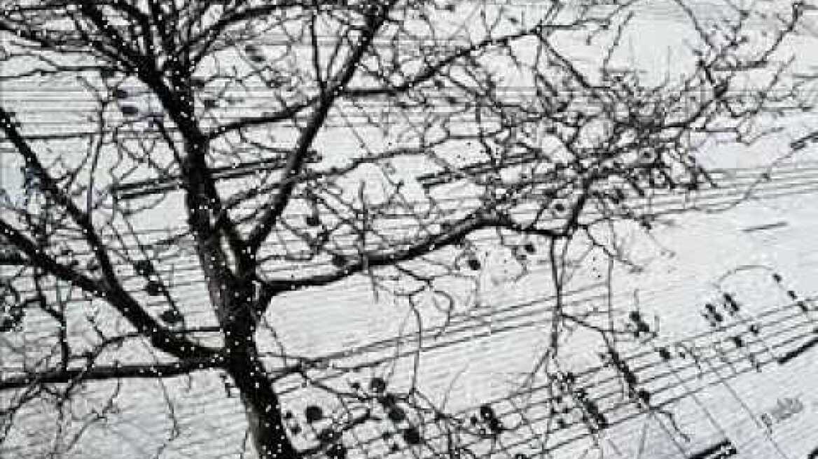 Κώστας Ψυχογιός - Το Ριγέ Σακάκι