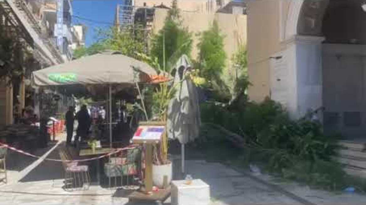 Πτώση δέντρου στην πλατεία Αγίας Ειρήνης