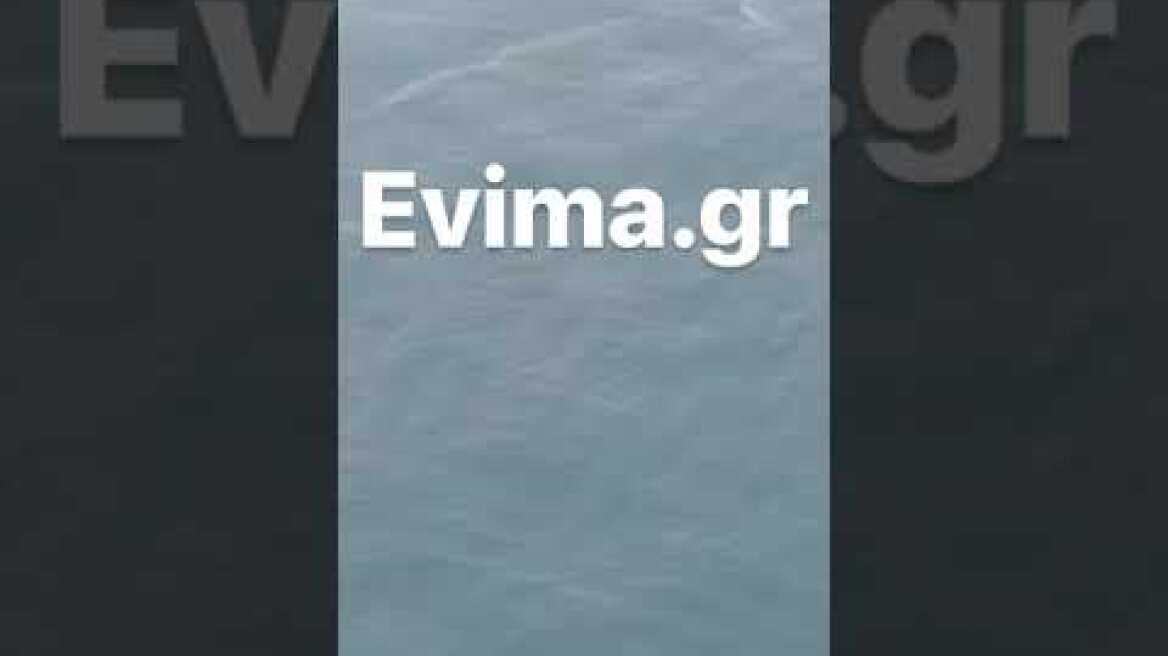 Φάλαινα σε παραλία της Εύβοιας