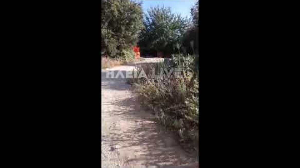 ilialive.gr - Φωτιά κατέστρεψε παραπήγματα εργατών γης στη Ν. Μανωλάδα