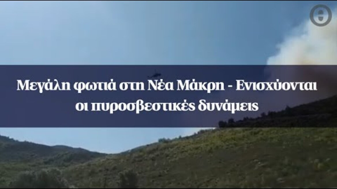 Μεγάλη φωτιά στη Νέα Μάκρη - Ενισχύονται οι πυροσβεστικές δυνάμεις