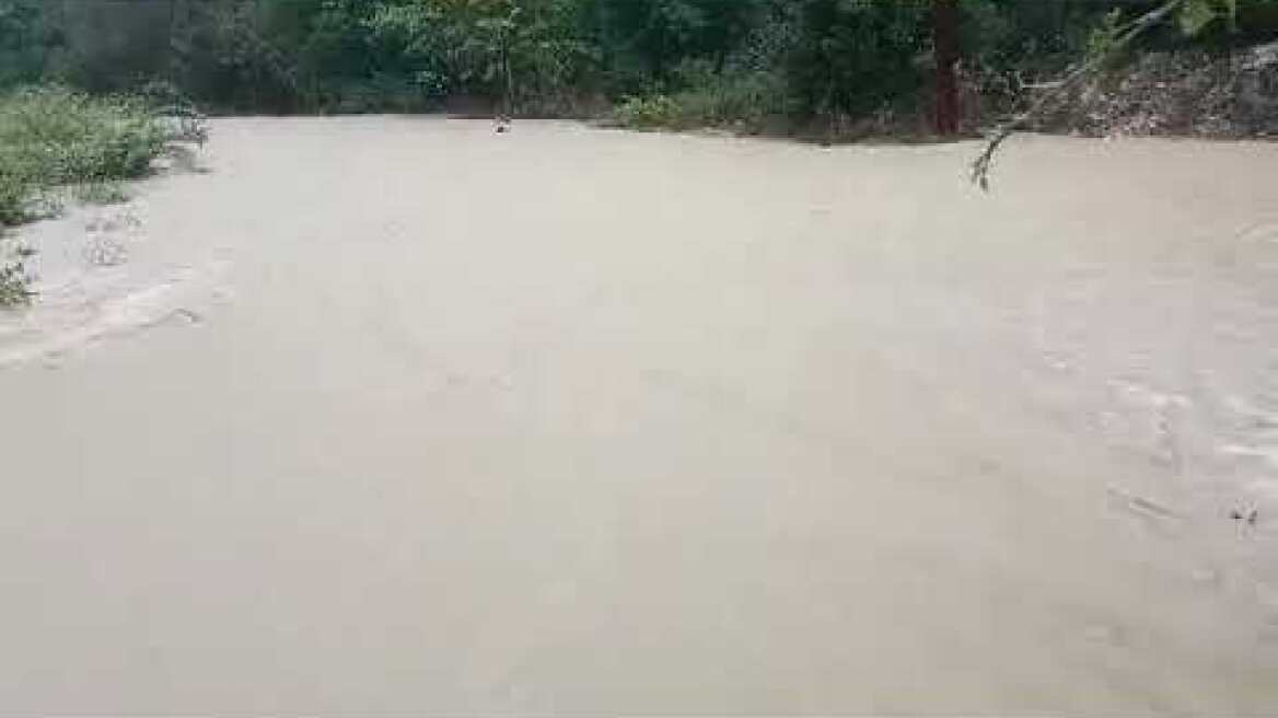 Μηλιά κυνοπιαστων κακοκαιρία