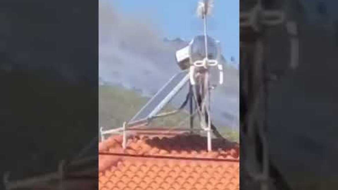 Νέα Μάκρη φωτιά (1)