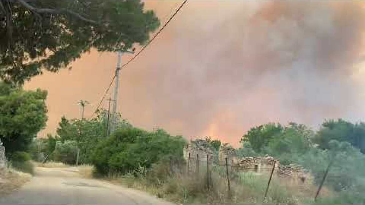 Φωτιά κάτω πευκενεα