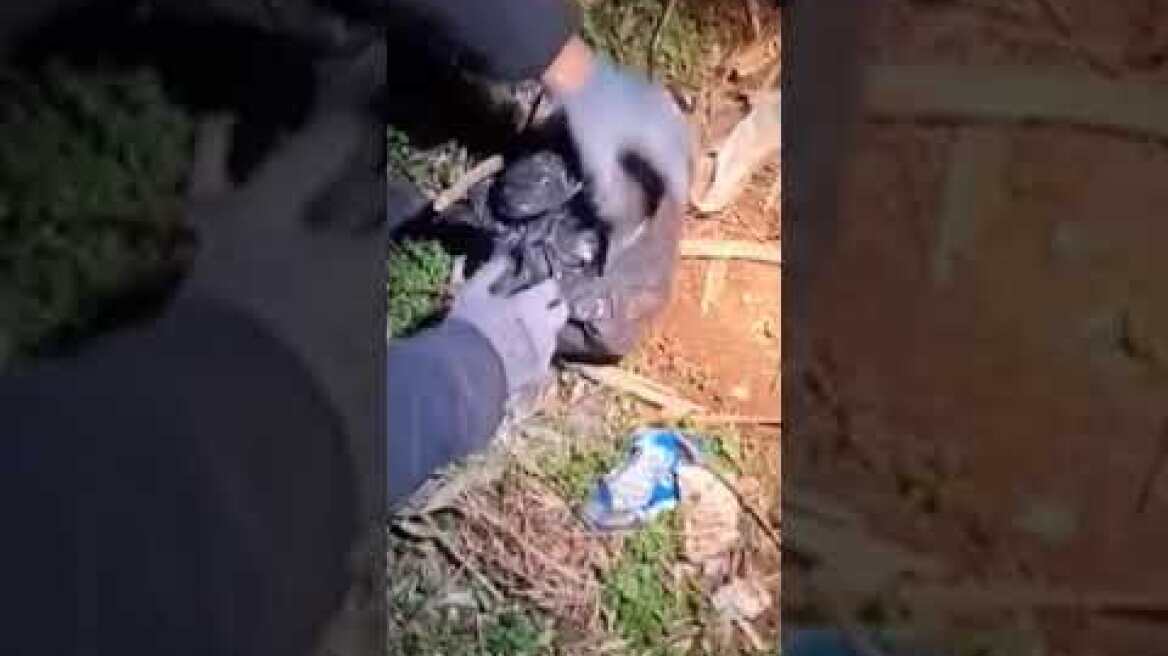 Εξαρθρώθηκε εγκληματική οργάνωση που αποθήκευε και διακινούσε ναρκωτικά στη Θεσσαλονίκη