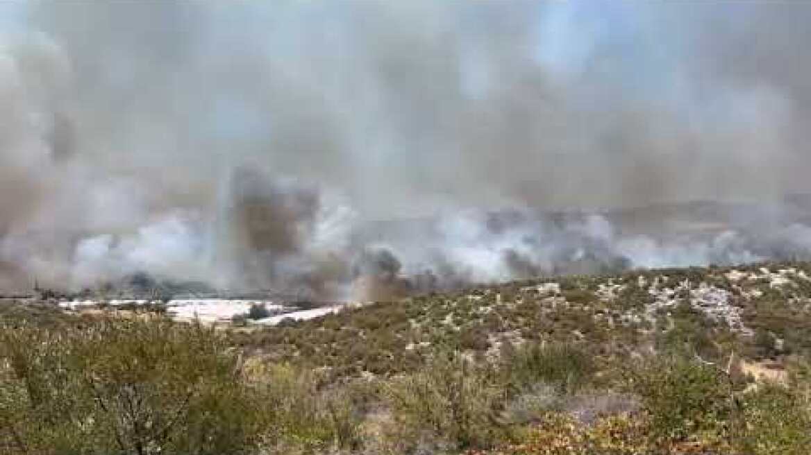 Η φωτιά μπαίνει στο χωριό του Μαραθώνα - Κινδυνεύουν τα φυτώρια