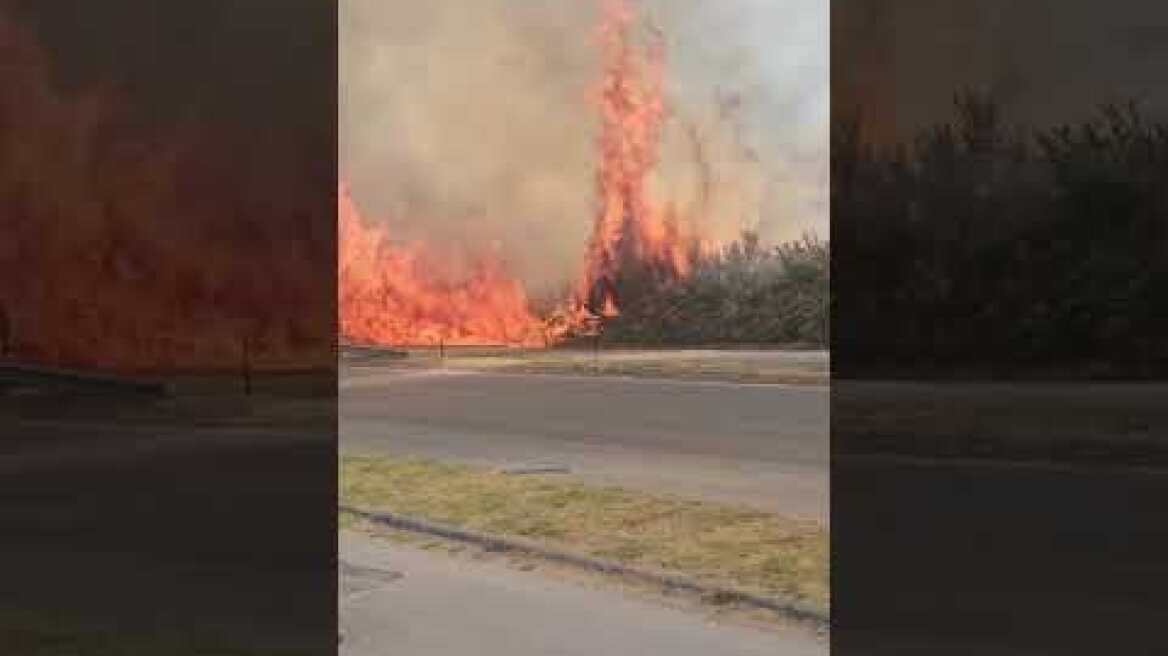 Φωτιά στο Κιλκίς (4)