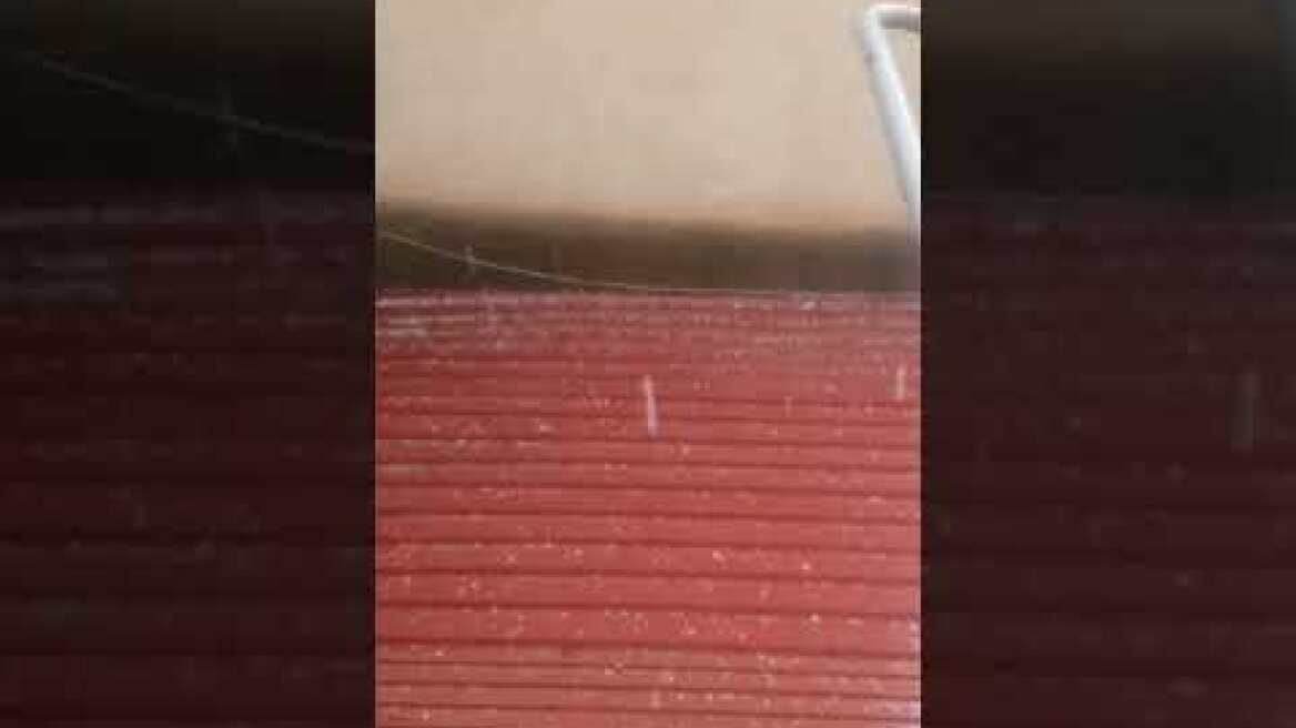 first spring rain and hail in Nicosia😅👍