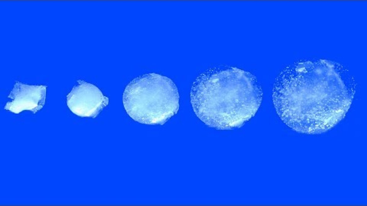 Jell-O-like, expanding pill