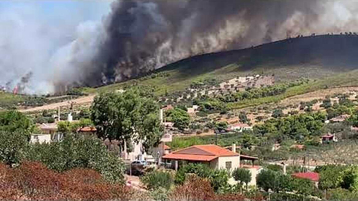 Φωτιά Συντερίνα