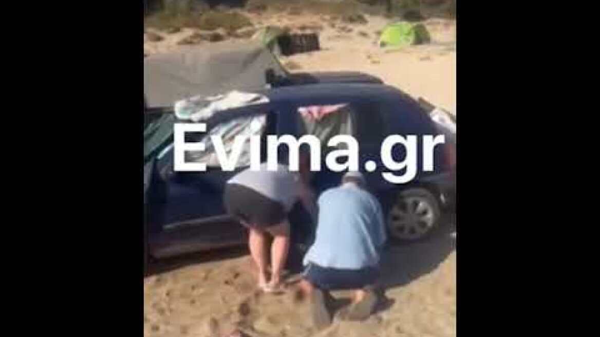 Άφησαν σκυλί για ώρες μέσα σε αυτοκίνητο σε παραλία της Εύβοιας