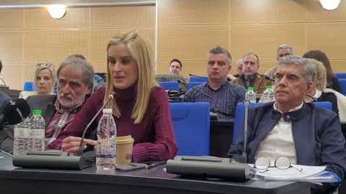 Δόκου: Να προστατευθεί ο κ. Αγοραστός - Έχει το τεκμήριο της αθωότητας