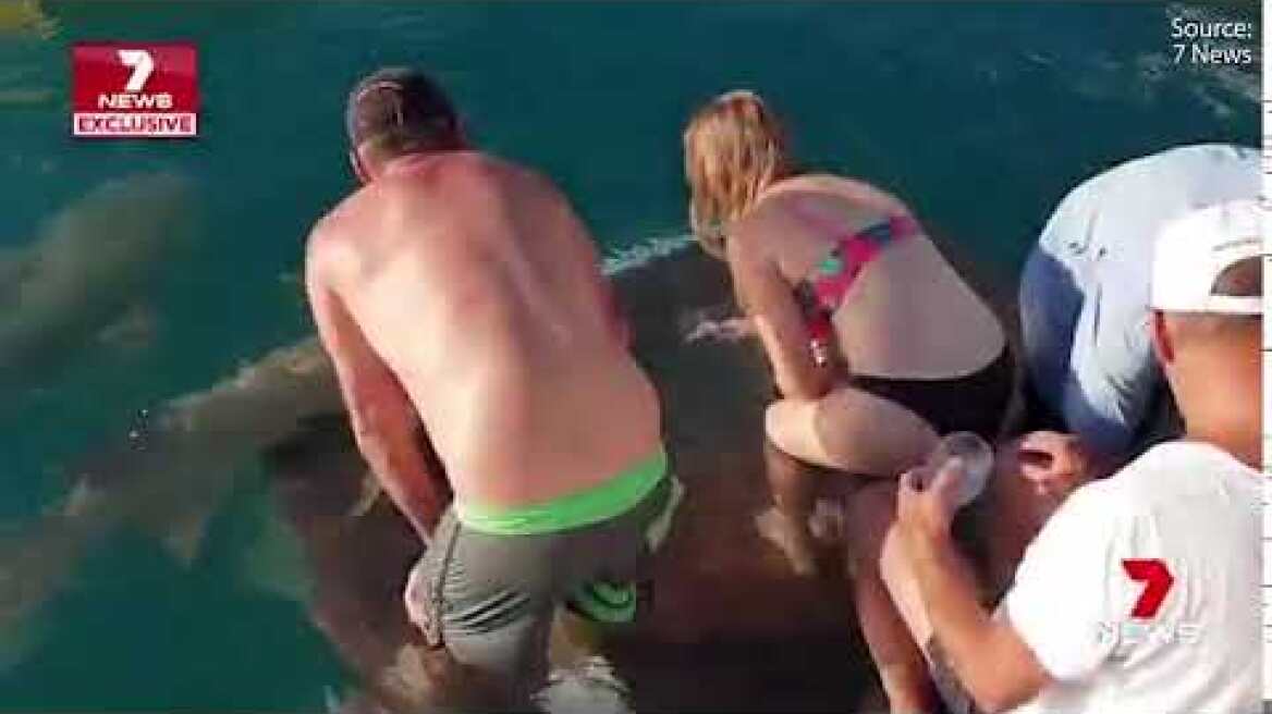 The terrifying moment a woman is dragged underwater by a SHARK while trying to feed it   Daily Mail