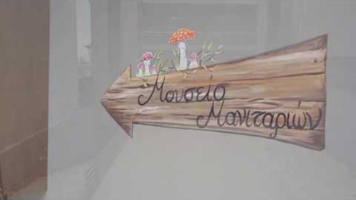 Μουσείο Μανιταριών Μετεώρων - Νέα πτέρυγα