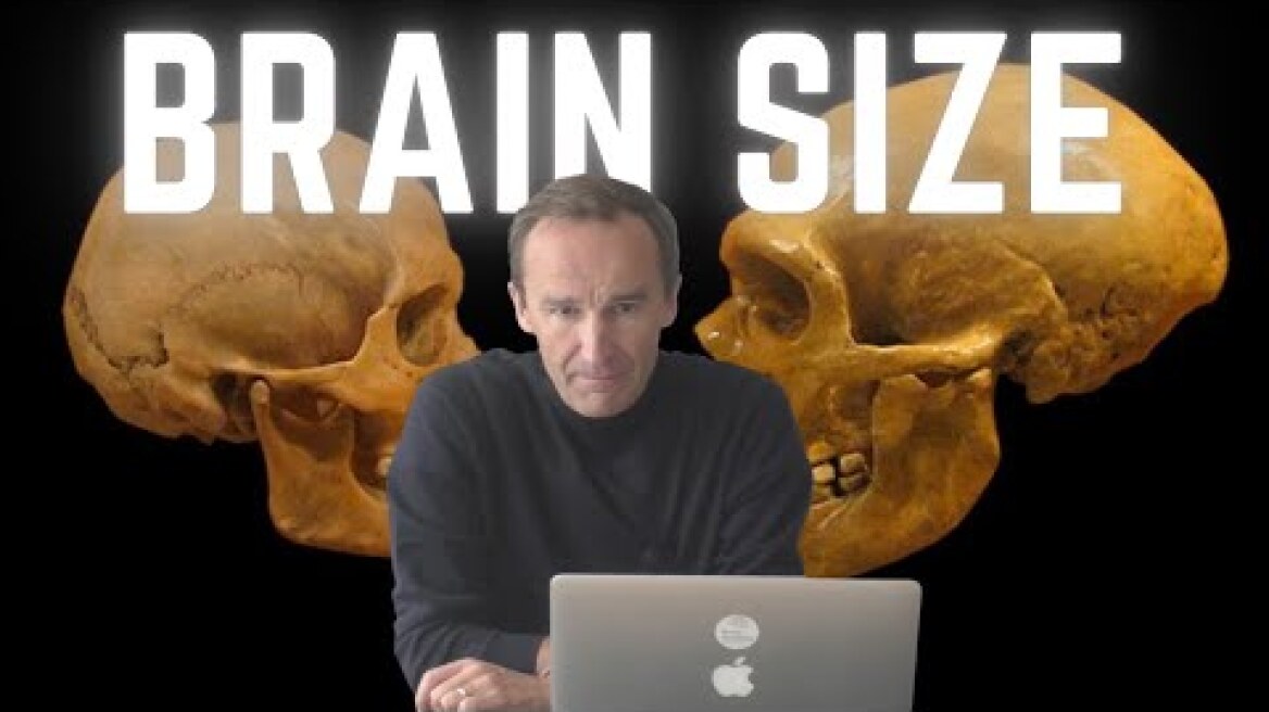 Our brain is actually shrinking... are we becoming more stupider?