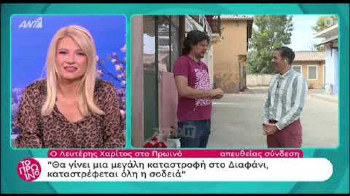 Οι Άγριες Μέλισσες ξαναμπήκαν στο Διαφάνι