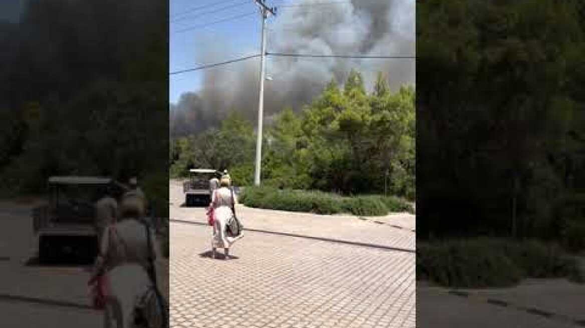 Φωτιά στη Βαρυμπόμπη