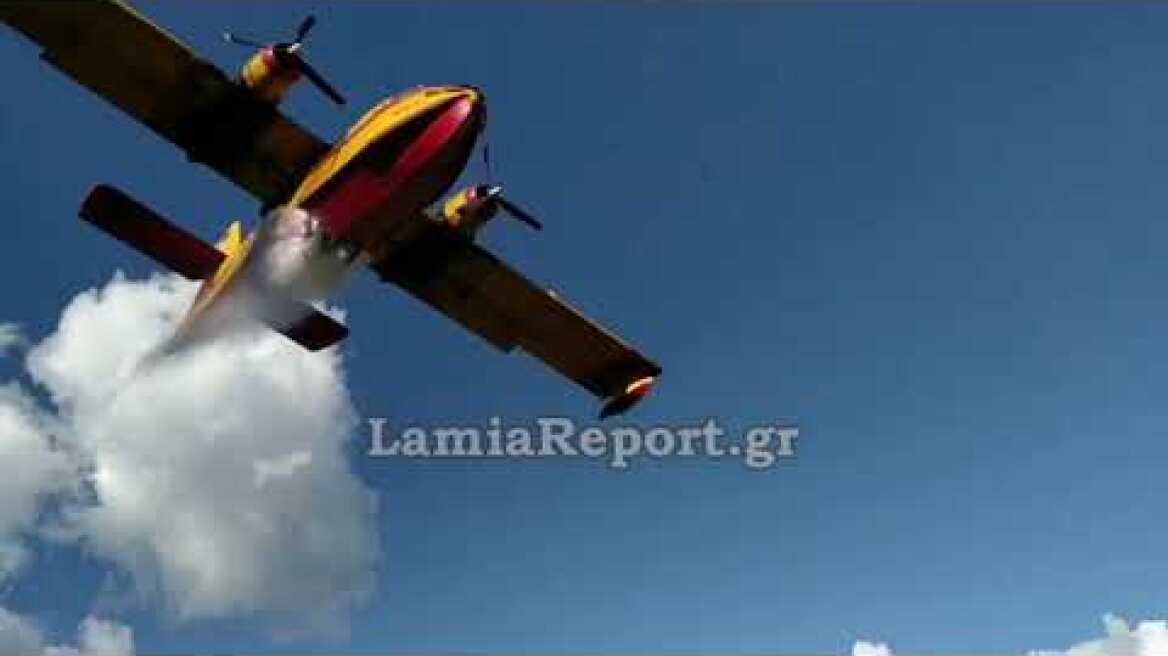 LamiaReport.gr: Πυρκαγιά στο Λογγίτσι Φθιώτιδας