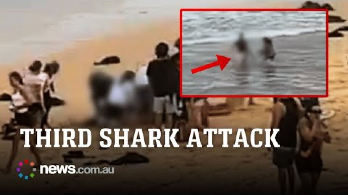 Man critical after third Sydney shark attack in 48 hours